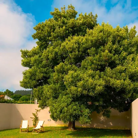 Dom wakacyjny Afife Sea And Mountain Retreat Afife