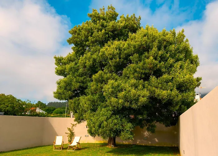 Prázdninový dům Sea And Mountain Retreat Afife